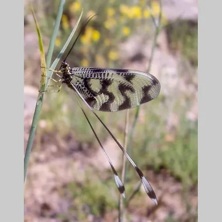 In A Biodiversity Hotspot. * Madzharovo